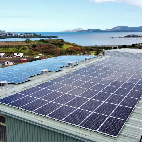 L’Essor des Panneaux Solaires 